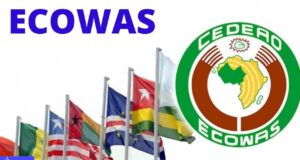 Military Junta: ECOWAS Countries To Shut Borders, Withdraw Ambassadors From Mali