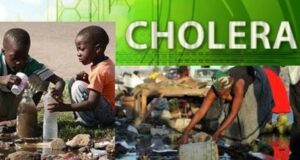Diseases: KDSG Confirms Cholera Kills 175 In 2021