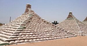 Kaduna Pyramid ‘Ll Crash Maize Price – MAAN