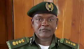 Nigeria’s National Park Service To Mitigate Effects Of Climate Change