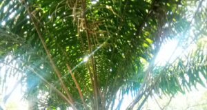 Patriotism: Nigerian Returns N13.3M Mistakenly Transfered into his Account