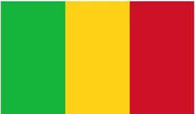 UN Official Laments Mali’s Withdrawal From G5-Sahel Joint Force