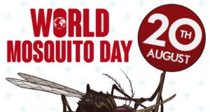 World Mosquito Day: FG Calls For Collaborative Effort To Eliminate Mosquito Hazards