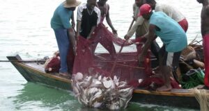 FG Considers Fuel Supply Approval To Bakassi Fishermen
