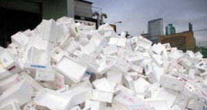 Styrofoam Not Good For Environment, Human Health – Environmentalists