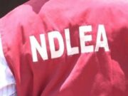 Drug Day: Marwa Urges Nigerian Youths To Shun Illicit Drugs