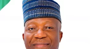 NILDS Urges 12 States To Pass Local Gov’t Autonomy Bill Into Law