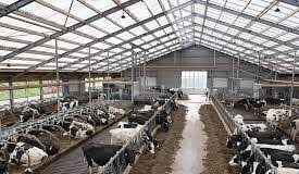 FG, Stakeholders Partner To Tackle Challenges In Animal Feed Industry