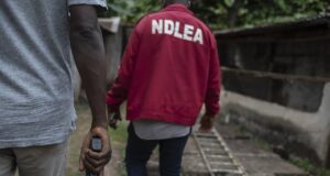 NDLEA Operatives Arrest 25 Drug Suspects In Abuja.