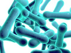 Diphtheria: Death Toll Rises To 17 In Kaduna