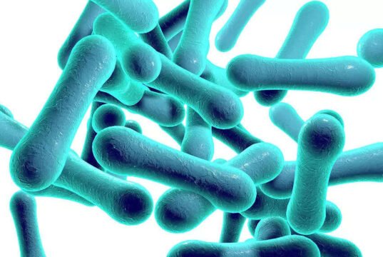 Diphtheria: Death Toll Rises To 17 In Kaduna
