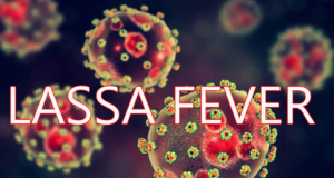 Lassa Fever: Benue Records 63 Cases, 16 Deaths. Lassa Fever (1)