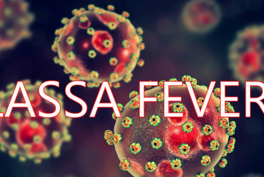 Lassa Fever: Benue Records 63 Cases, 16 Deaths. Lassa Fever (1)