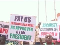 Industrial Action: NASU, SSANU To Commence Nationwide Protest Tuesday. images 3 (1)