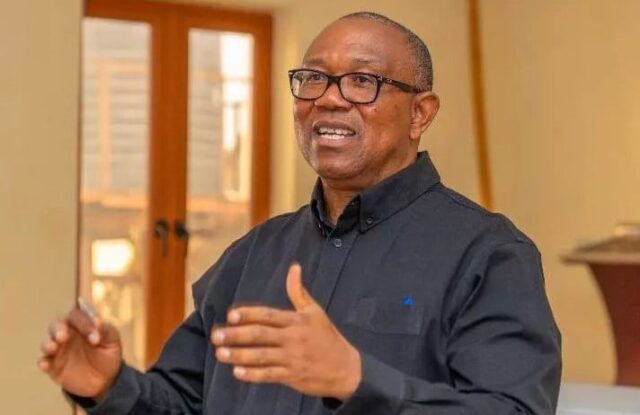 Peter Obi (3)