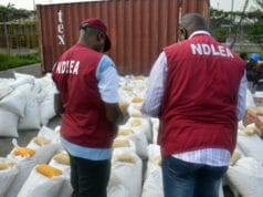 Drug War: NDLEA Officers Nab Suspect, Reject N10m Bribe. Ndla