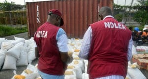 Drug War: NDLEA Officers Nab Suspect, Reject N10m Bribe. Ndla