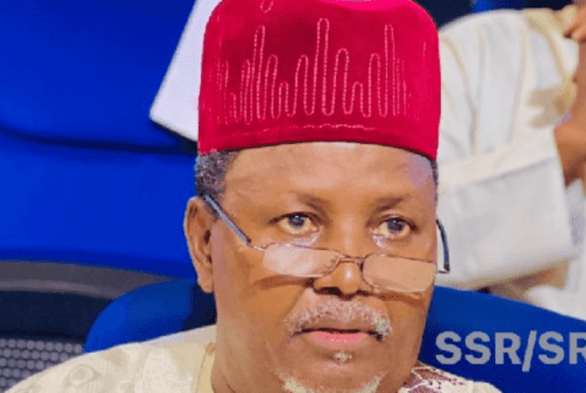 Internal Party Crisis: Kano NNPP Suspends SSG, Commissioner. Screenshot 20241014 223524
