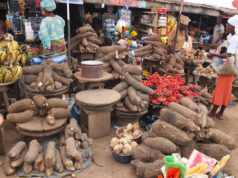 Food Insecurity: 33m Nigerians May Face Crisis In 2025’ – Report 1d1f66e9 01a8 4d61 baab 3b6c6c3a8a69