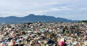Ivory Coast: Probe Launched After Dead Babies Found In Dump. Ivory Coast Opens Investigation After Dead Infants Found in Abidjan Landfill.