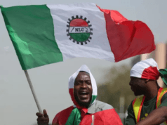 NLC Directs Workers In Defaulting States To Start Strike Dec 1. ce4a9711 4d9e 45c6 a9b1 2ad58ecaa79a.jpg