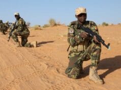 Chad: Soldiers Kill In Operation Against Boko Haram- Army. Flintlock 2019