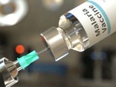 Malaria: Nigerian Government To Begin Vaccination In Kebbi, Bayelsa Dec 2. n